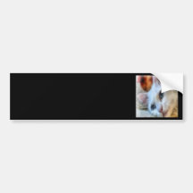 Blaue mit Augen weiße Katze Autosticker