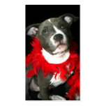 Blaue Pitbull Welpen-Visitenkarten