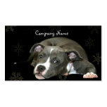 Blaue Pitbull Welpen-Visitenkarten