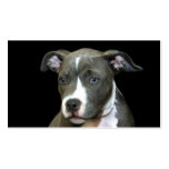 Blaue Pitbull Welpen-Visitenkarten