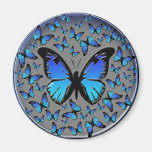 blaue Schmetterlinge Magnete