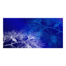 Blaue und weiße Winter-Kiefer Fotokartenvorlage