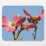 Blauer Himmel-Rosa-Hartriegel Mauspads