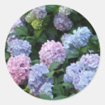 Blauer Hydrangea Aufkleber