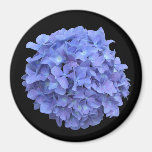 Blauer Hydrangea-Blüten-Magnet Kühlschrankmagnet