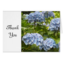 Blauer Hydrangea danken Ihnen Karte