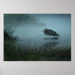 Blauer Reiher-nebeliger Morgen-Plakat-Druck