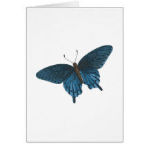Blauer Schmetterling Grußkarte