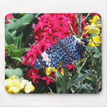 Blauer Schmetterling in der Blumen-Foto-Mausunterl Mauspads