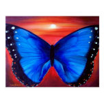 Blauer Schmetterling verwandeln den multi Sonnenun Postkarte