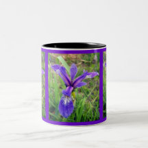 Blauer Sumpf-Schwertlilie-Iris-Becher Haferl