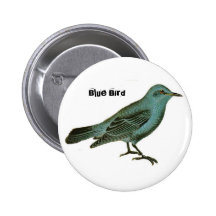 Blauer Vogel Anstecknadelbuttons