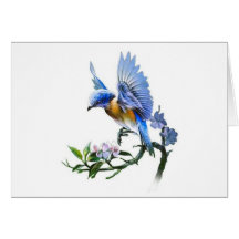 blauer Vogel auf Niederlassung Karte