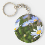Blaues Gänseblümchen-Blumen Keychain Schlüsselband