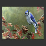 "Blaues Jay" 14" x 11" Kunst-Druck poster