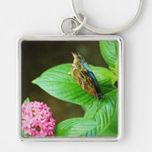 Blaues Morpho 143 Keychain Schlüsselanhänger