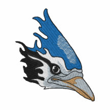 Blauhäher