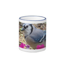 Blauhäher-Kaffeetasse