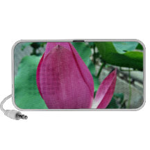 Blendungs-rosa Lotos-Blume iPod Lautsprecher