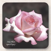 Blissful Rosa-und-Weißer Rosen-Korken-Untersetzer