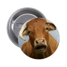 blöde kuh button