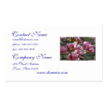Blooming Magnolia Business Card Template