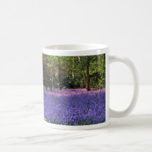 Bluebell-Holz, England Haferl