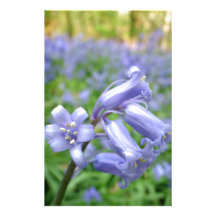 Bluebell Personalisierte Büropapiere