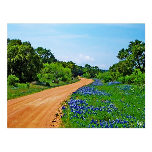 Bluebonnet-Straße, Weide-Stadt-Schleife, TX Postkarten