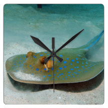 Bluespotted Stingray-Wanduhr