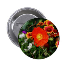 Blühende Mohnblume Anstecknadel