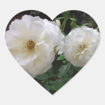 Blühende weiße Rosen Herzaufkleber
