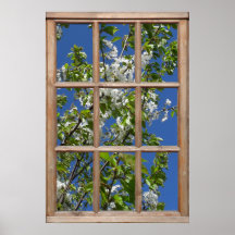 Blühender Baum-Ansicht von einem Fenster Plakate