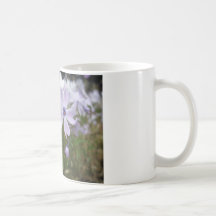 Blume 3 kaffee haferl