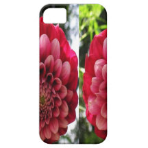 BLUME Dekorationen: Rote n-Rosen-Paare iPhone 5 Hüllen