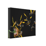 Blume - Gänseblümchen - gegangen mit dem Wind Leinwanddrucke