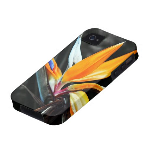 Blume iPhone 4 starker Fall Vibe iPhone 4 Cover