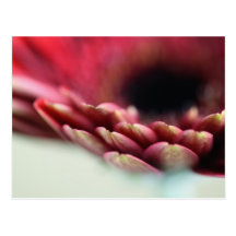 Blume Postkarten