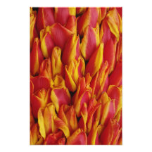Blumen auf dem Floss, das den Tag der Königin, a f Foto