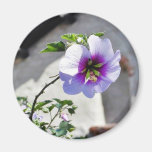 Blumen-Auftrag-Blätter-Blatt-Dächer Magnete