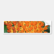 Blumen Autosticker