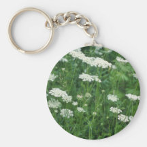 Blumen der wilden Karotte (Daucus Carota) Schlüsselband