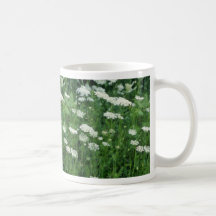 Blumen der wilden Karotte (Daucus Carota) Tee Haferl