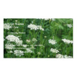 Blumen der wilden Karotte (Daucus Carota) Visitenkartenvorlagen