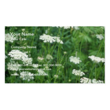 Blumen der wilden Karotte (Daucus Carota) Visitenkartenvorlagen