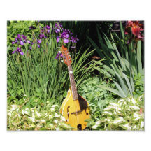 Blumen-Druck des Mandolinen-und Iris-Garten-10x8 Fotografische Drucke