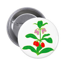 Blumen flowers button