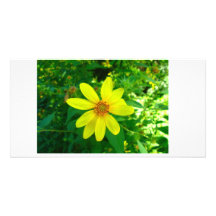 Blumen-Foto-Karte Personalisierte Photo Karte
