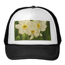 Blumen-Fotografie der Frühlings-Narzissen-(Narziss Kultmütze