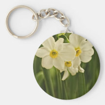 Blumen-Fotografie der Frühlings-Narzissen-(Narziss Schlüsselband
